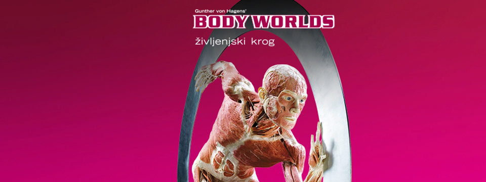 Kupite vstopnice za Bodyworlds na Eventim. Bodyworlds