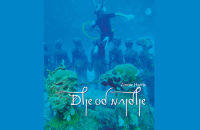 DLJE OD NAJDLJE - Vstopnice © DLJE OD NAJDLJE - Vstopnice ©