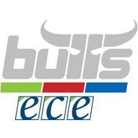 Heimspiele Basketball Bulls - Karten © Heimspiele Basketball Bulls - Karten ©