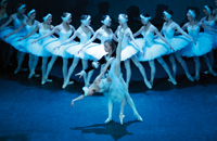 Schwanensee - Russisches Nationalballett - Karten © Schwanensee - Russisches Nationalballett - Karten ©