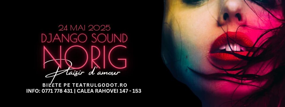 Norig & Django Sound | Plaisir d’amour | Teatrul Godot - Bilete