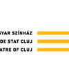 Cumpara bilete pentru Teatrul Maghiar de Stat Cluj la Eventim.ro. Teatrul Maghiar de Stat Cluj