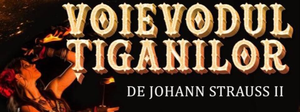 Voievodul Tiganilor - Tickets