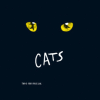 CATS - Karten © CATS - Karten ©