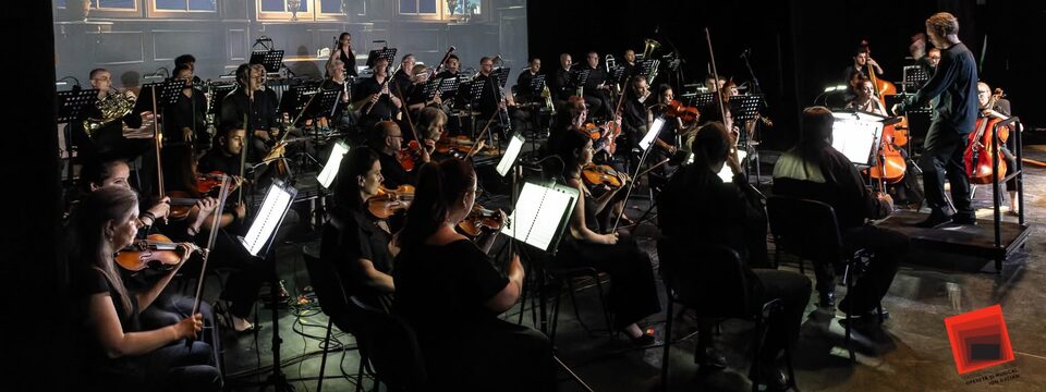 Frumosul Indiferent - Teatrul National de Opereta si Musical Ion Dacian - Tickets