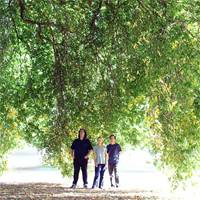 Yo La Tengo - Ulaznice © Yo La Tengo - Ulaznice ©