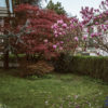 karvem_mgl - Vstopnice © karvem_mgl - Vstopnice ©