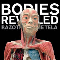 Bodies Revealed - Razotkrivanje tela - Ulaznice ©Bodies Revealed Bodies Revealed - Razotkrivanje tela - Ulaznice ©Bodies Revealed