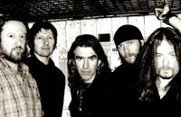 New Model Army - Karten © New Model Army - Karten ©