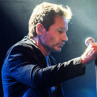 DAVID DUCHOVNY koncert - Jegyek david_duchovny© DAVID DUCHOVNY koncert - Jegyek david_duchovny©