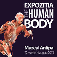 The Human Body Exhibition - Tickets © The Human Body Exhibition - Tickets ©
