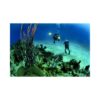 scuba2 - Tickets © scuba2 - Tickets ©