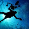 scuba - Bilete © scuba - Bilete ©