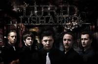 Lurid Lishaped and more - Karten © Lurid Lishaped and more - Karten ©