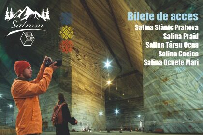 SALINELE SALROM