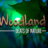 WOODLAND 2019 - Vstopnice © WOODLAND 2019 - Vstopnice ©