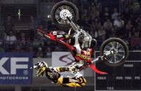 Night of the Jumps - Karten © Night of the Jumps - Karten ©