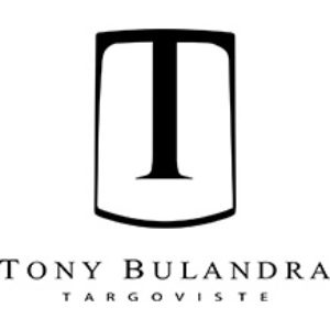 Teatrul Tony Bulandra Targoviste