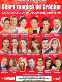 SEARA MAGICA DE CRACIUN