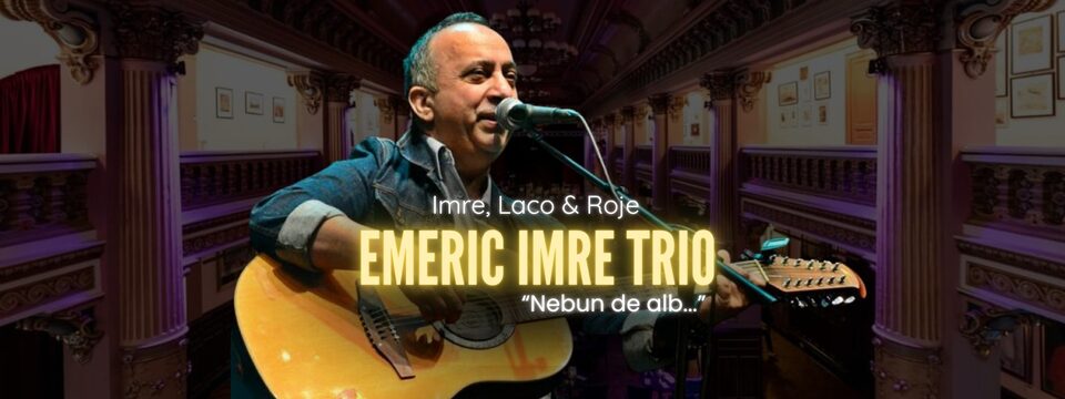 Emeric Imre Trio - Teatrul Godot - Tickets 