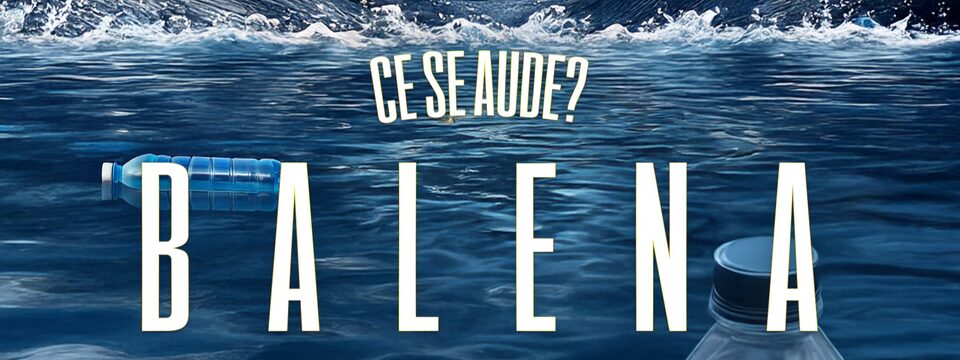 csaude-balena - Tickets 