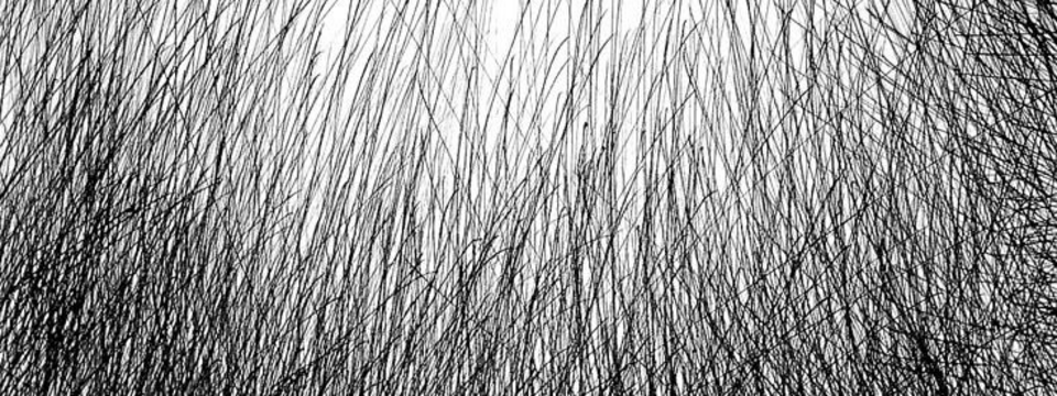 Atelier Pădurea de linii - Tickets 