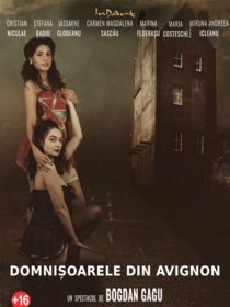 Domnisoarele din Avignon 16+